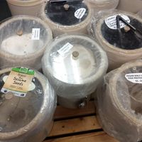  at Health Haven Market in Hainesport