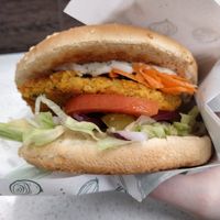 Falafel burger at Veganland - Weidengasse in Cologne