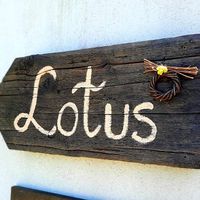 Lotus mellow at Lotus Mellow in Valea Lunga