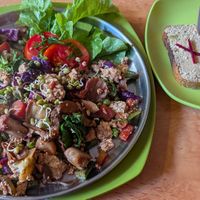 Scrambled tofu. With brown bread and tofu spread. at Honey and Spice in Pushkar