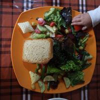 Tofu sandwich at Honey and Spice in Pushkar