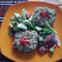 Toast with basil pesto and sprouts at Honey and Spice in Pushkar