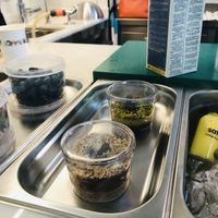 Desserts  at Saf in Istanbul