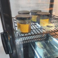 Spreads at La Consciente in Barcelona