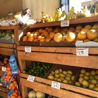 Fresh Produce Near Entry  at Nature's Best Foods in Oakland