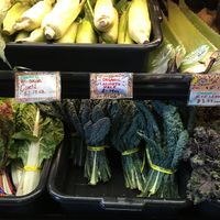 Happy leafy greens at Mandela Food Cooperative in Oakland