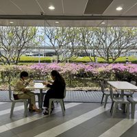 Nice view from the tables at the back  at SIN - Ding Shang Vegetarian 鼎上- T2 in East Singapore