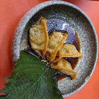 Gyoza at Beyond Ramen in Berlin