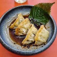 Fried gyoza at Beyond Ramen in Berlin