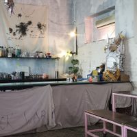  at SHPANA in Tbilisi