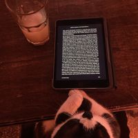   at SHPANA in Tbilisi