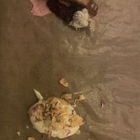   at Heaven's Kitchen in Stuttgart