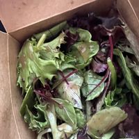   at Casa Borinqueña in San Francisco