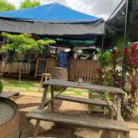 Ahimsa  at Ahimsa - Maybe closed in Managua