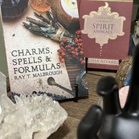 Fun to look through their merchandise options while waiting for food   at Barely Vegans in New Rochelle