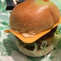   at Oowee Vegan in Brighton