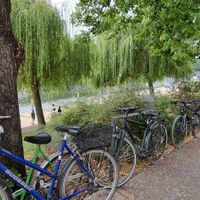 Chilled vibe around at bohnarchie  in Brandenburg An Der Havel