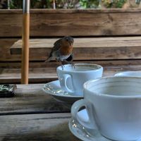  at The Sir John Borlase Warren in Nottingham