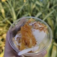 Vegan Coconut Icecream with 4 balls and 3 toppings at Veganissimo - Maybe closed in Koh Samui