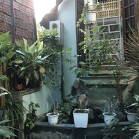   at Quan Chay Buffet Lac Tam Vegan in Hue