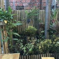   at Quan Chay Buffet Lac Tam Vegan in Hue