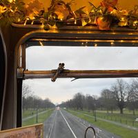  at Vintage Tea Trips in Dublin