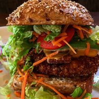 chicken bacon avo club at Native Foods in Boulder