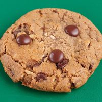  at Holy Llama - Sintagma in Athens