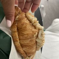   at Holy Llama - Sintagma in Athens