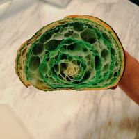  at Holy Llama - Sintagma in Athens