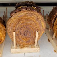  at Holy Llama - Sintagma in Athens