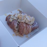  at Holy Llama - Sintagma in Athens