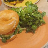  at Holy Llama - Sintagma in Athens