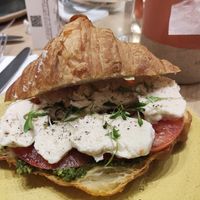  at Holy Llama - Sintagma in Athens