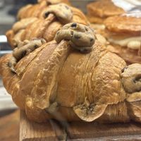 Crookie  at Holy Llama - Sintagma in Athens