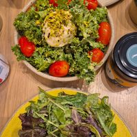  at Holy Llama - Sintagma in Athens