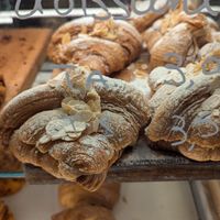  at Holy Llama - Sintagma in Athens