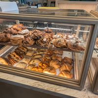  at Holy Llama - Sintagma in Athens