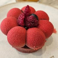  at Holy Llama - Sintagma in Athens