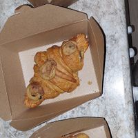  at Holy Llama - Sintagma in Athens