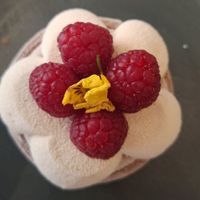  at Holy Llama - Sintagma in Athens