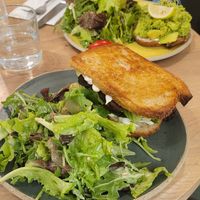  at Holy Llama - Sintagma in Athens