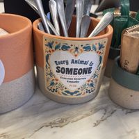   at Holy Llama - Sintagma in Athens