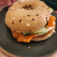  at Holy Llama - Sintagma in Athens