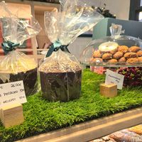  at Holy Llama - Sintagma in Athens