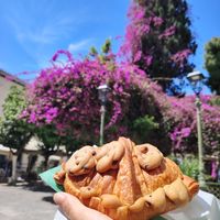  at Holy Llama - Sintagma in Athens