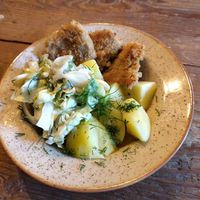  at Vegan House in Nagodzice