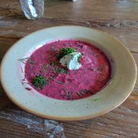  at Vegan House in Nagodzice