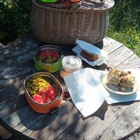  at Vegan House in Nagodzice