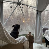   at Vegan House in Nagodzice